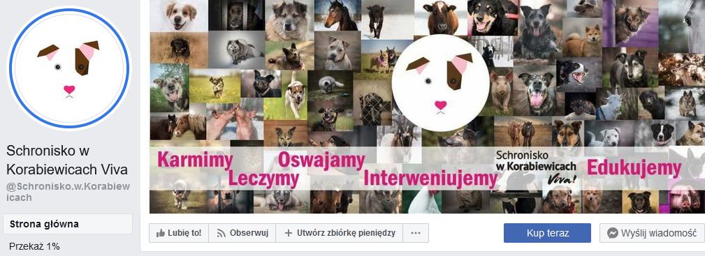 Schronisko w Korabiewicach Viva