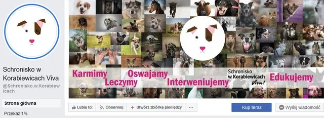 Schronisko w Korabiewicach Viva